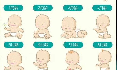 婴儿从站立到走路要多久-婴儿站的走的早是发育的好是吗-婴儿站立走路好吗,中国婴儿站立走路网站